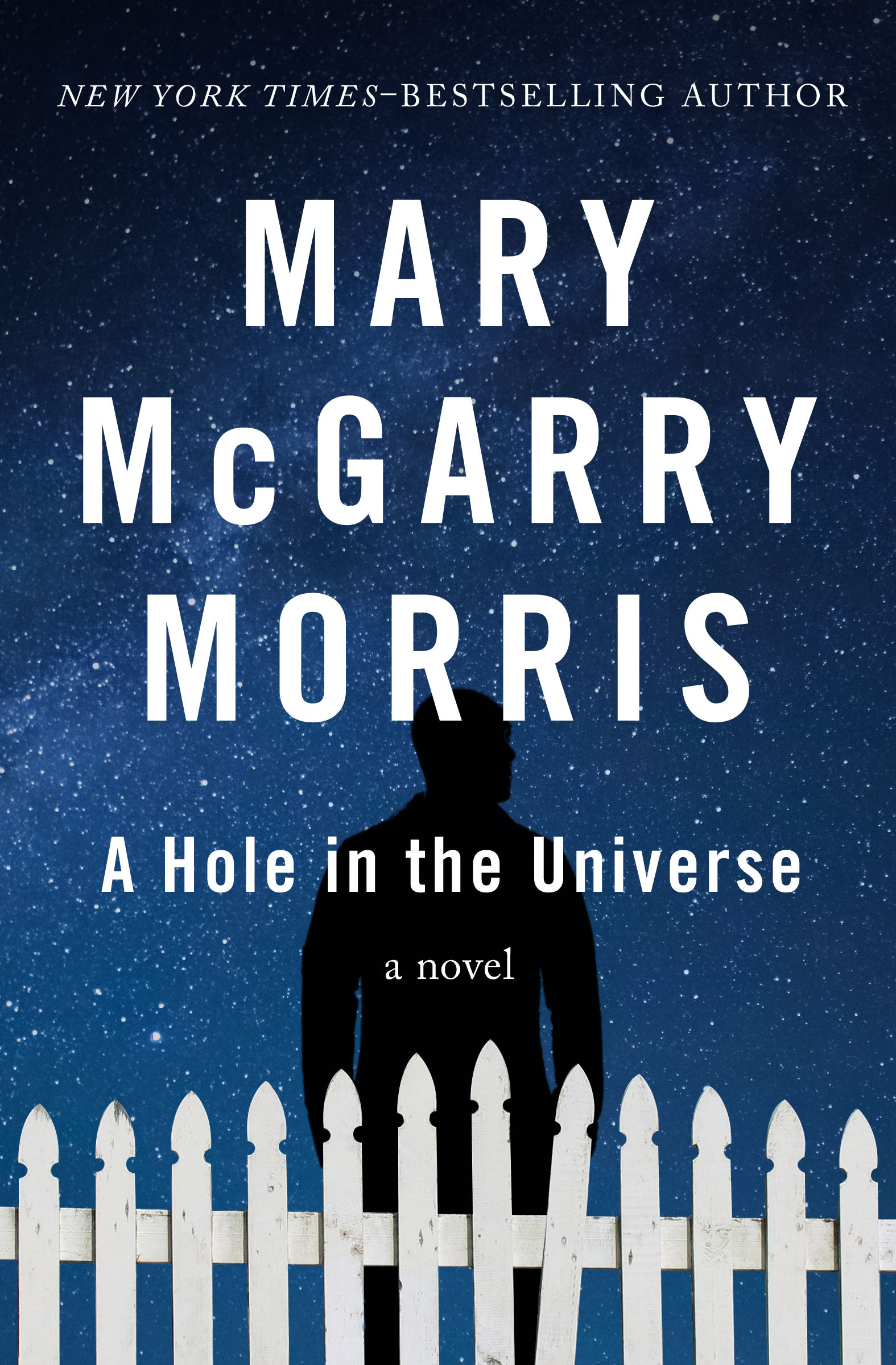 Morris_HoleUniverse